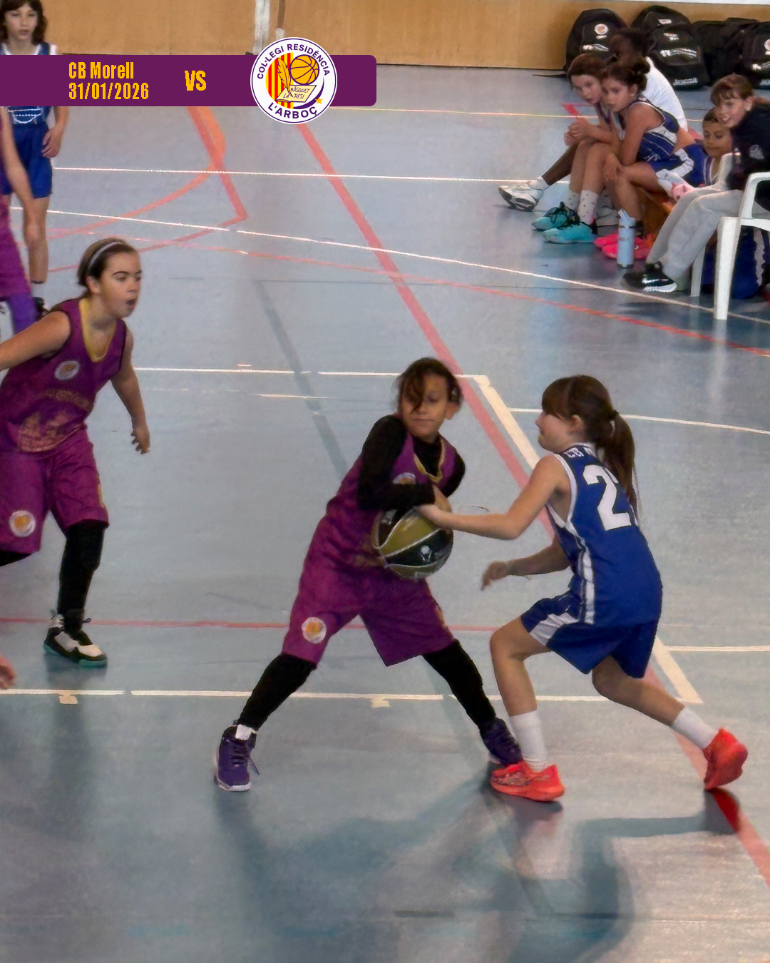 cb_morell_basquet_arbocenc_resi_03
