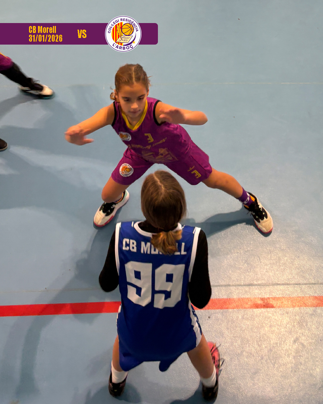 cb_morell_basquet_arbocenc_resi_04