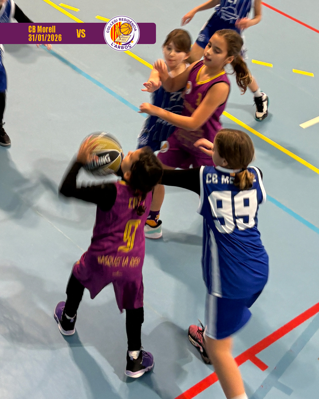 cb_morell_basquet_arbocenc_resi_05