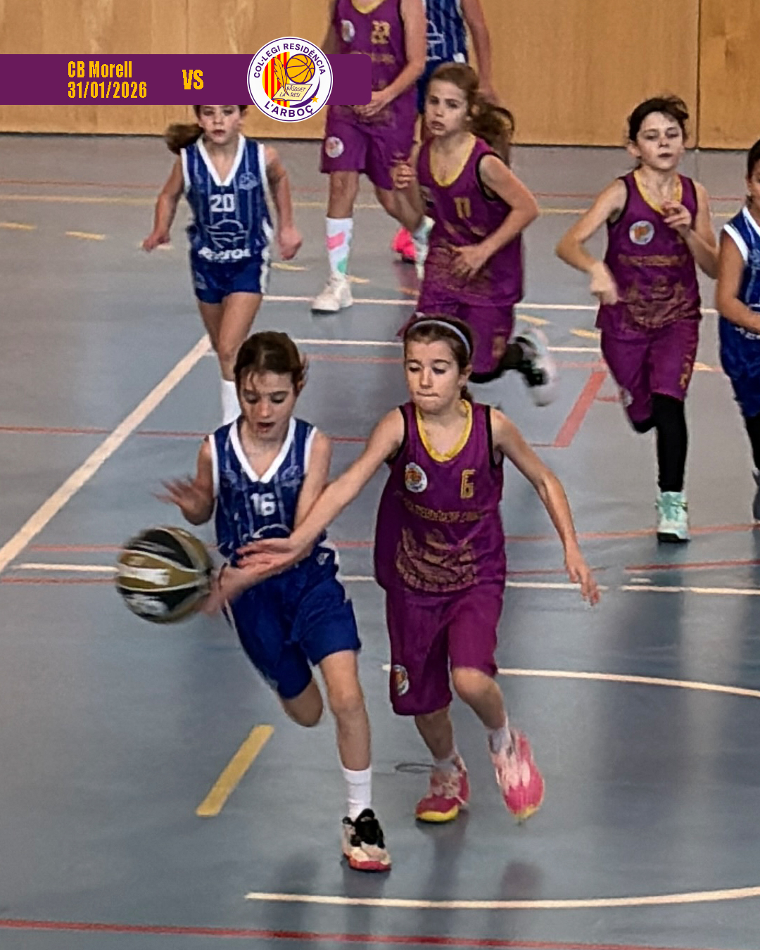 cb_morell_basquet_arbocenc_resi_06