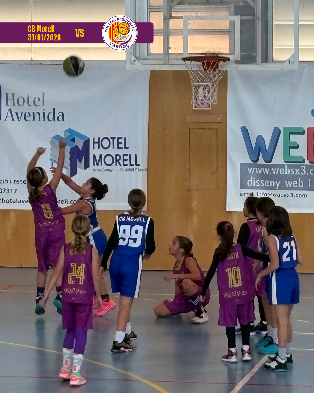 cb_morell_basquet_arbocenc_resi_10