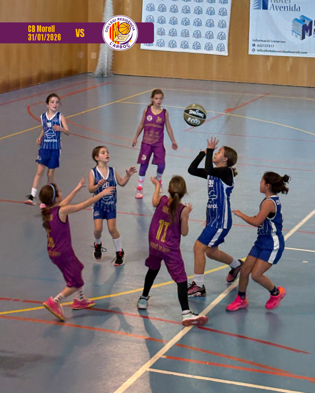 cb_morell_basquet_arbocenc_resi_14