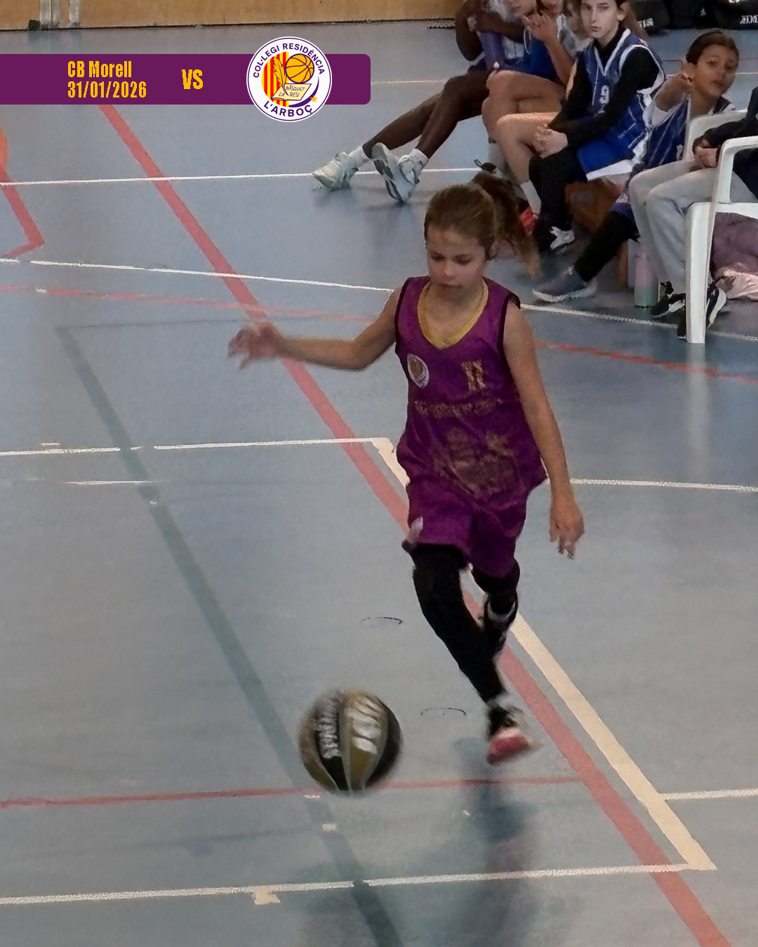 cb_morell_basquet_arbocenc_resi_15