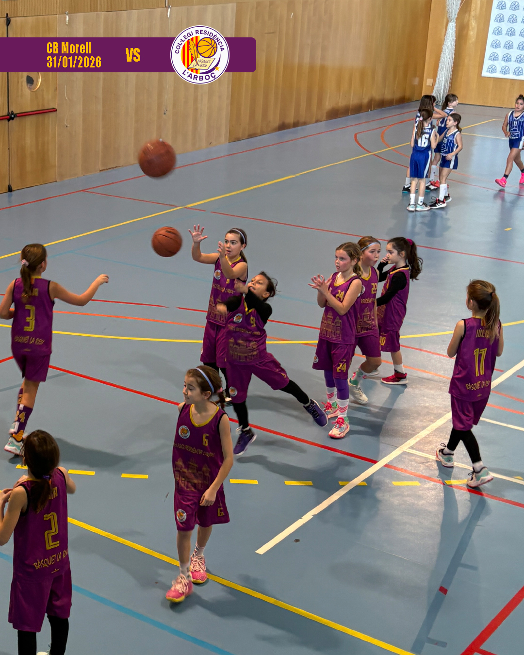 cb_morell_basquet_arbocenc_resi_16