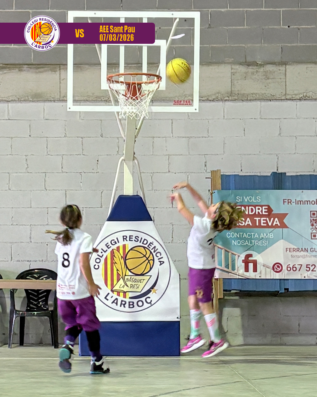 basquet_arbocenc_resi_aee_sant_pau_002