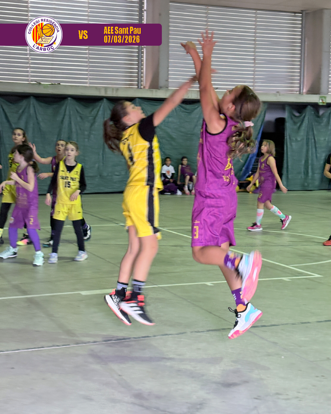 basquet_arbocenc_resi_aee_sant_pau_01