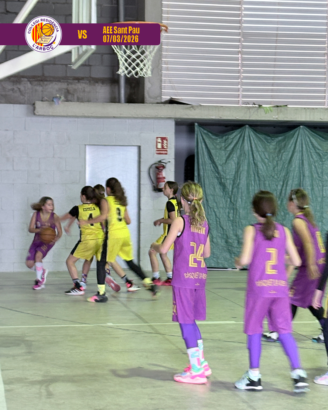 basquet_arbocenc_resi_aee_sant_pau_03