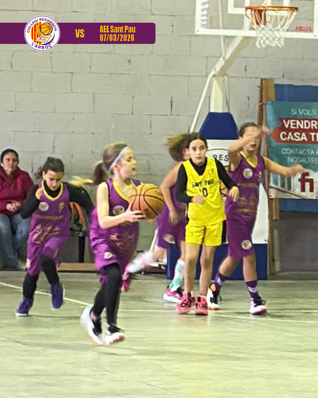 basquet_arbocenc_resi_aee_sant_pau_09