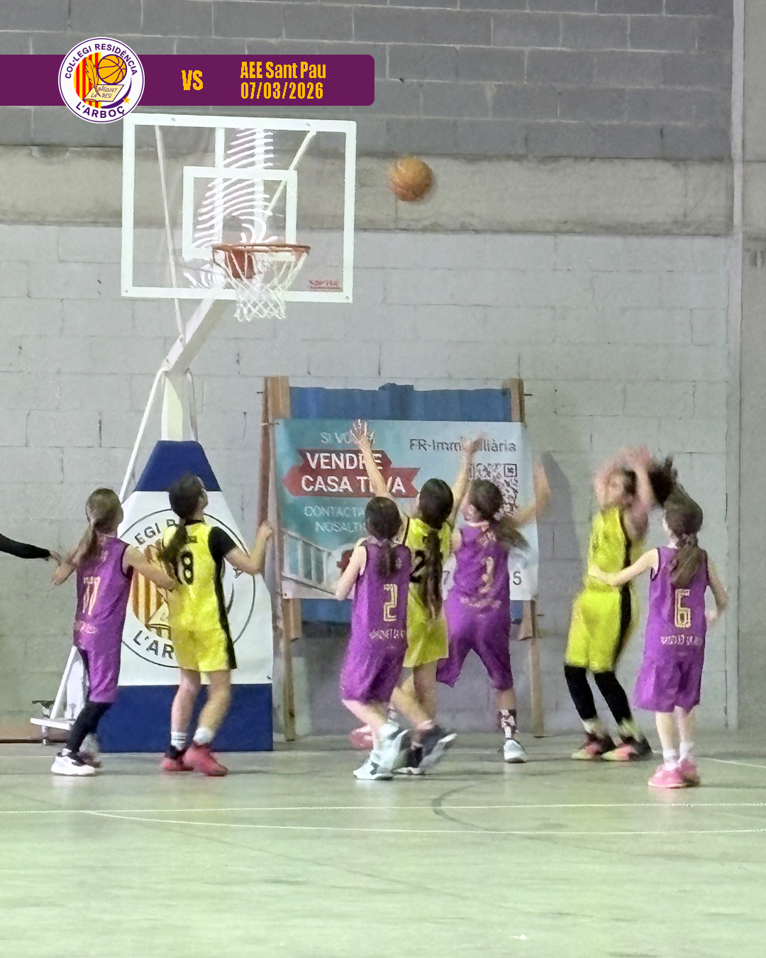basquet_arbocenc_resi_aee_sant_pau_10