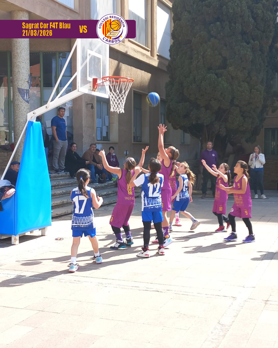 basquet_arbocenc_resi_sagrat_cor_blau_00
