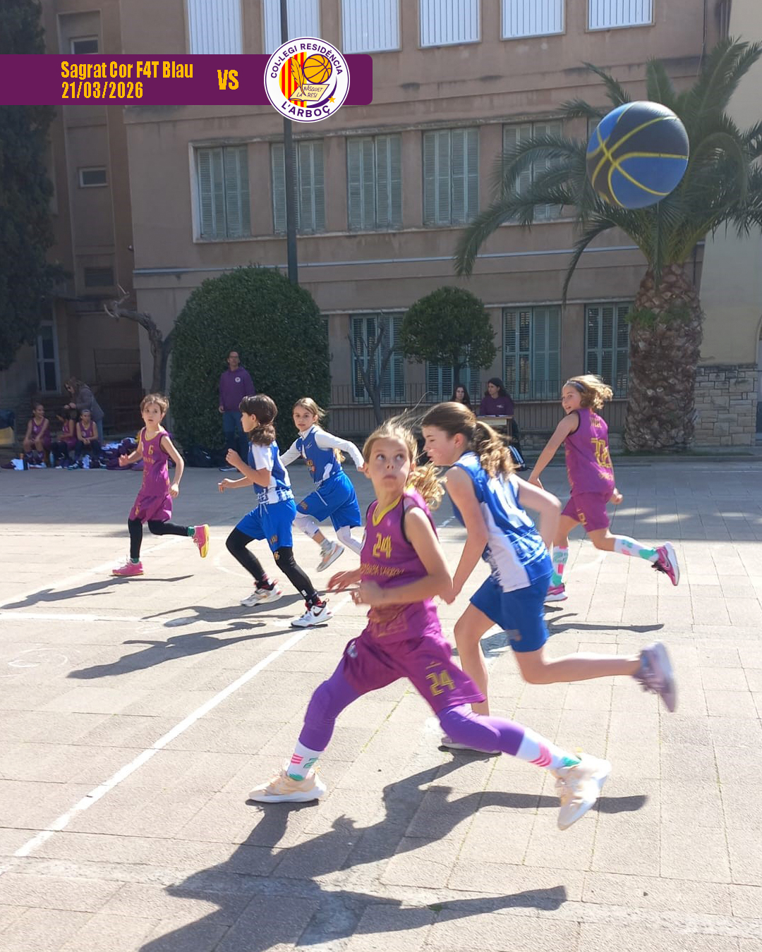 basquet_arbocenc_resi_sagrat_cor_blau_01