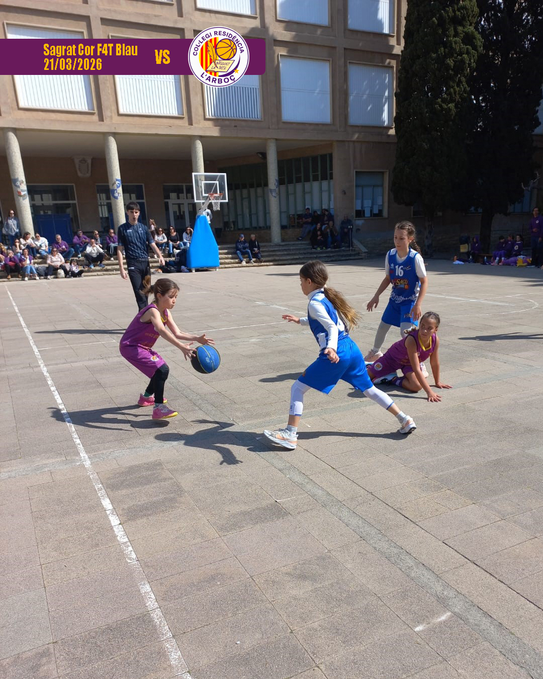 basquet_arbocenc_resi_sagrat_cor_blau_02