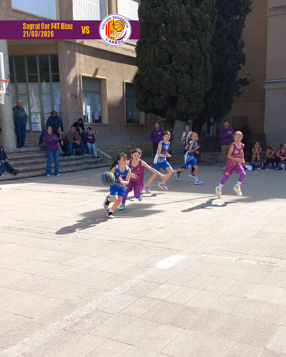 basquet_arbocenc_resi_sagrat_cor_blau_04