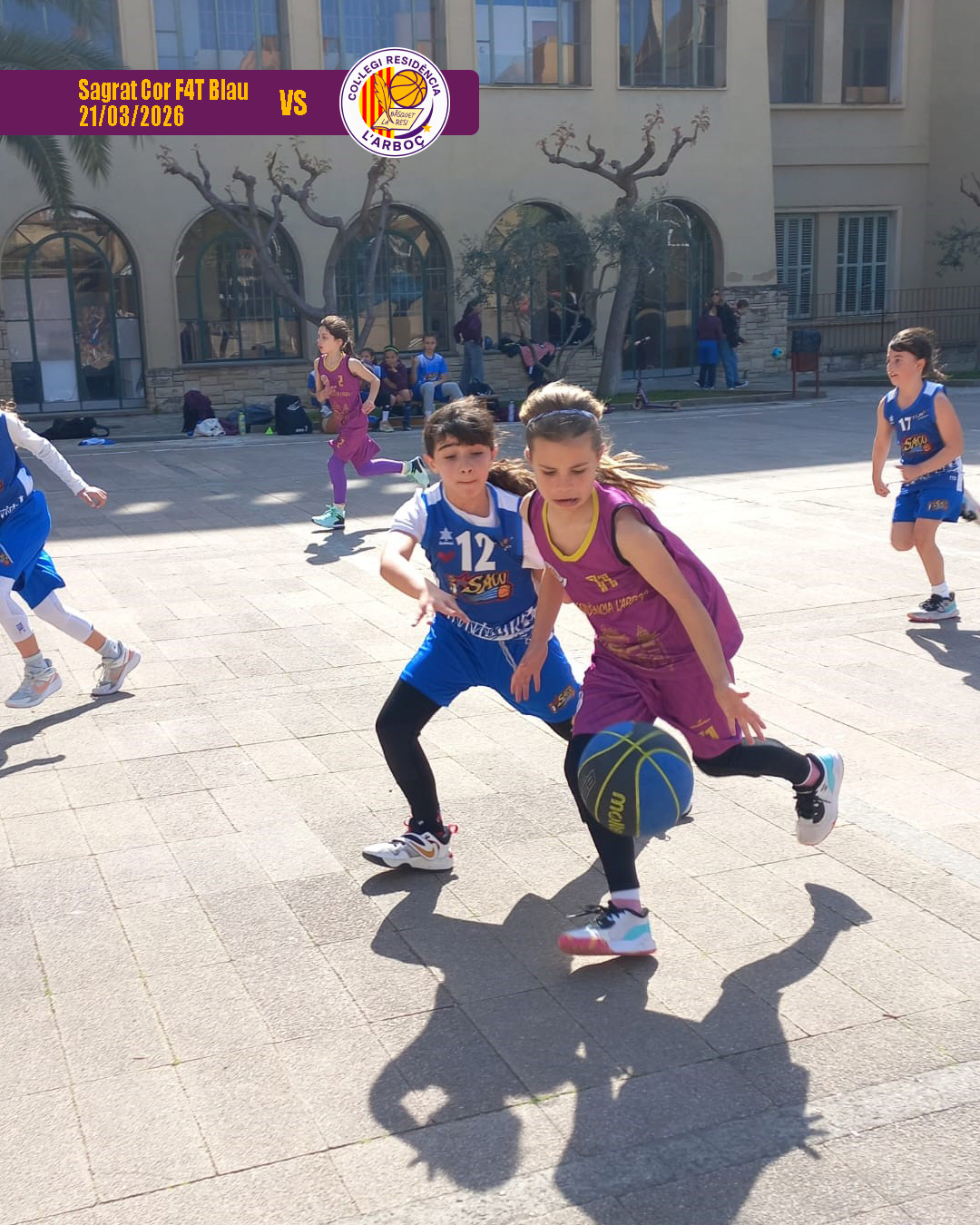 basquet_arbocenc_resi_sagrat_cor_blau_05