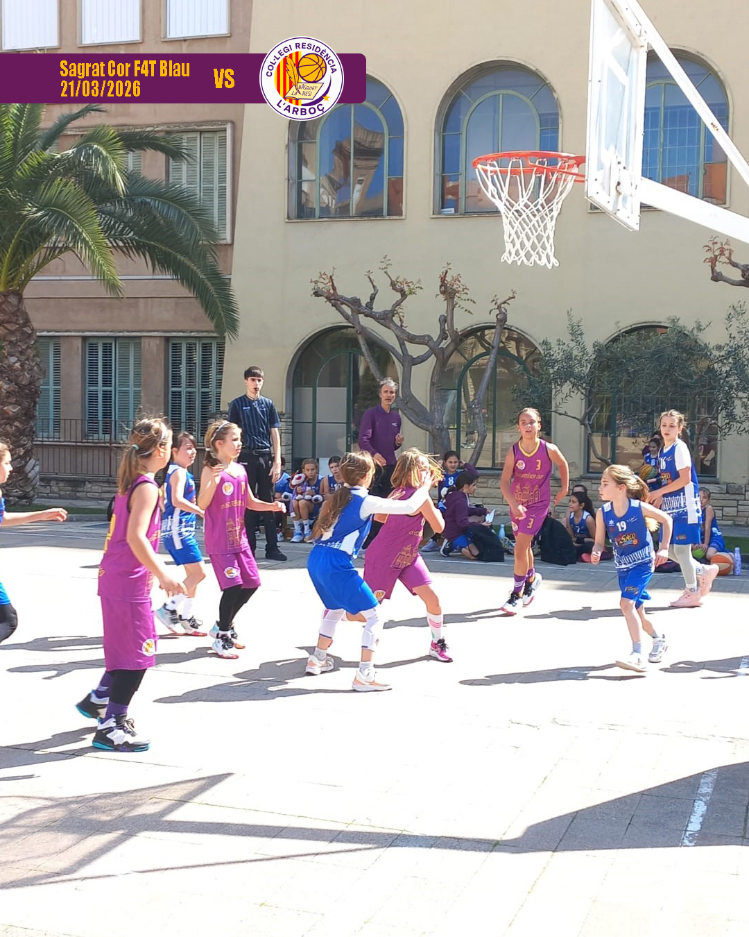 basquet_arbocenc_resi_sagrat_cor_blau_07