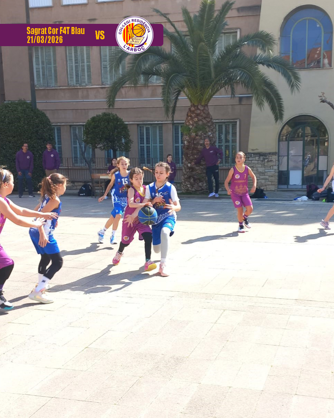 basquet_arbocenc_resi_sagrat_cor_blau_08