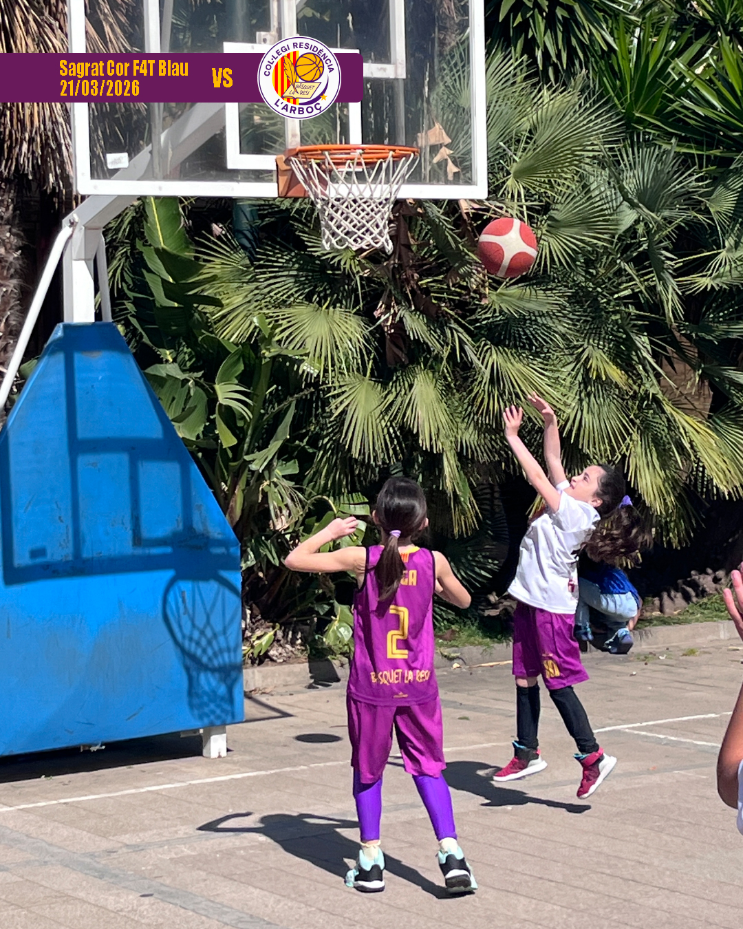 basquet_arbocenc_resi_sagrat_cor_blau_13