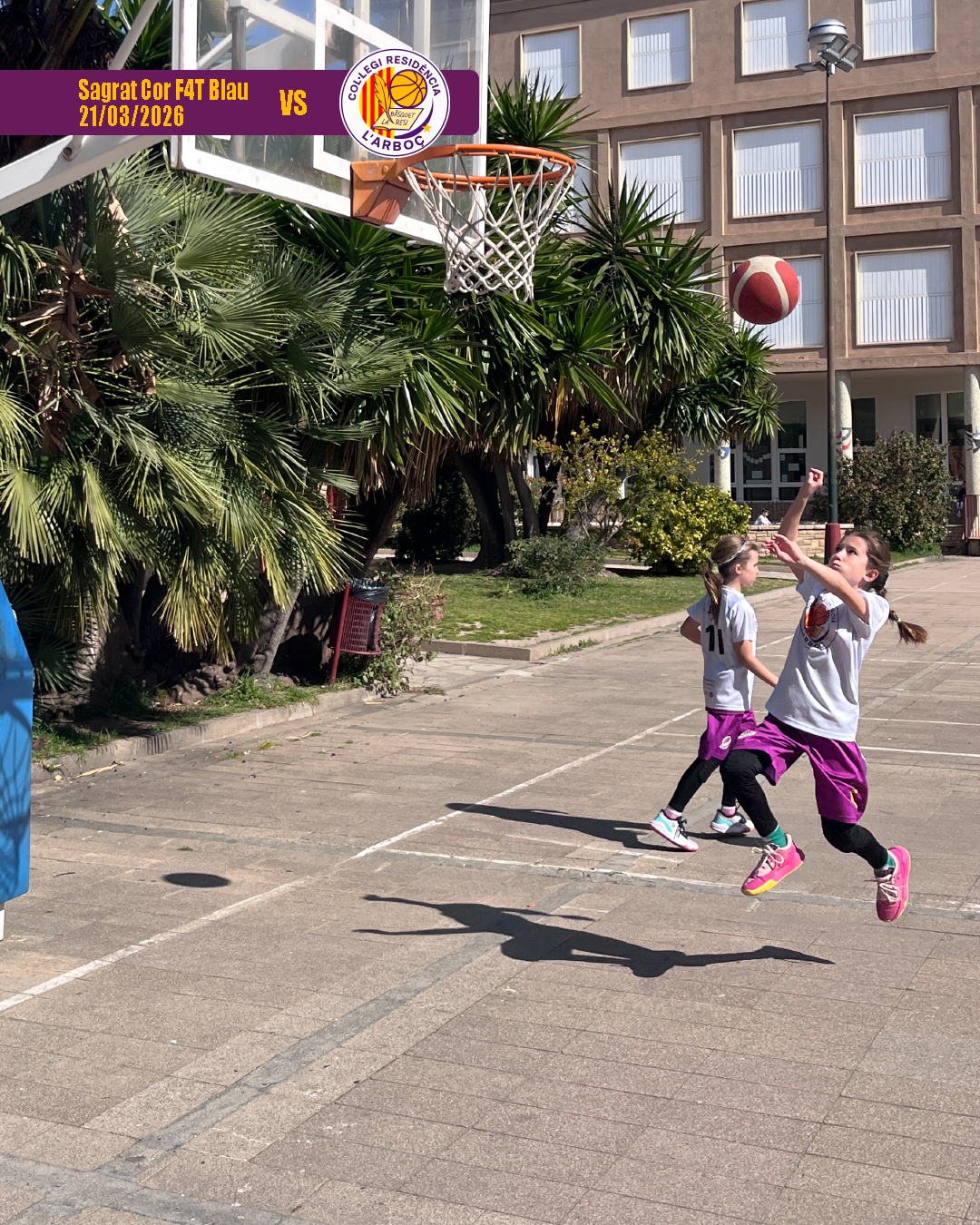 basquet_arbocenc_resi_sagrat_cor_blau_14