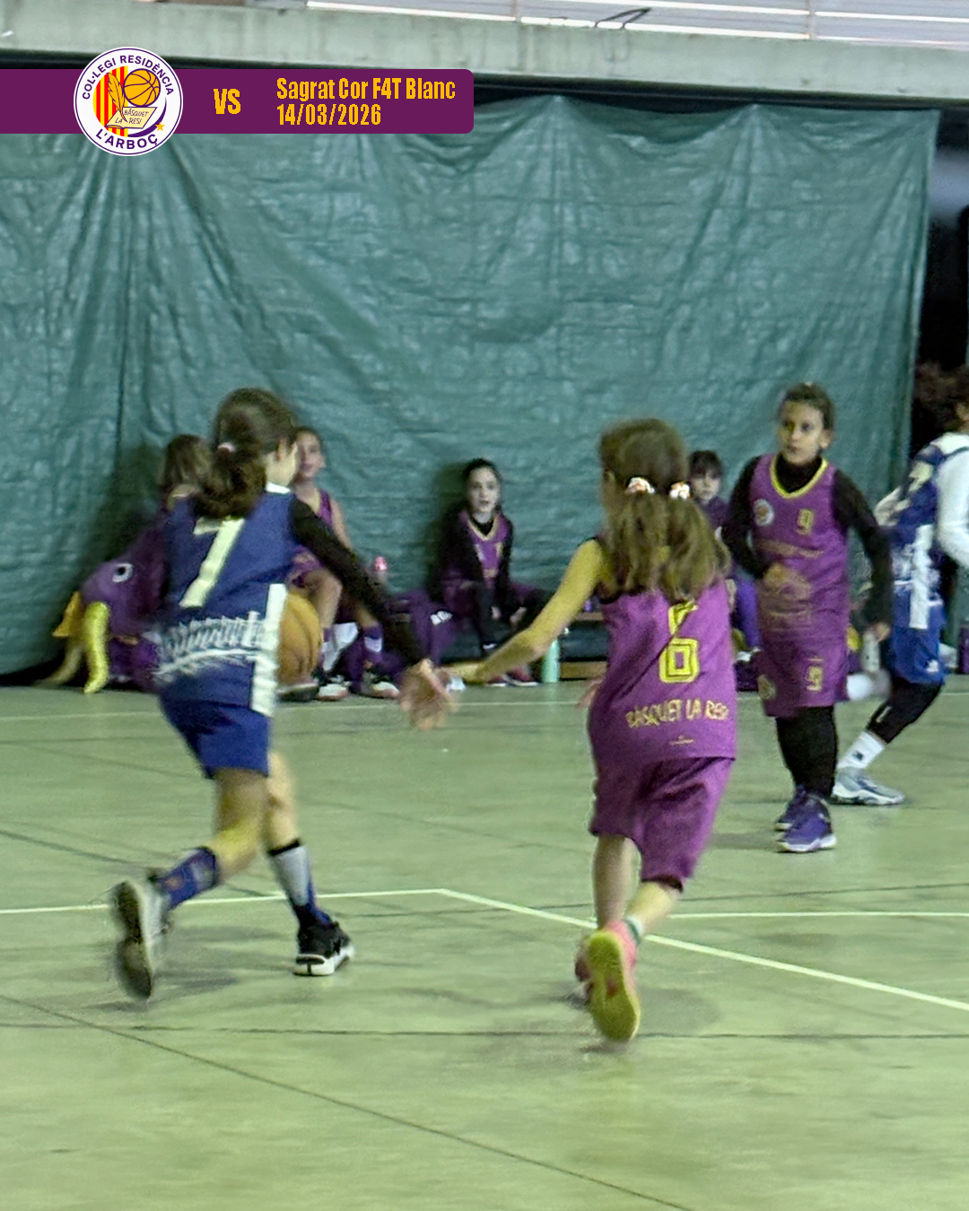 basquet_resi_arbocenc_sagrat_cor_07