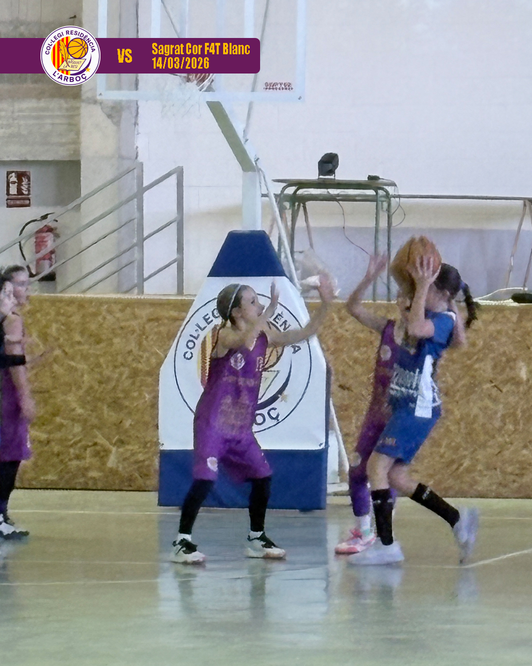 basquet_resi_arbocenc_sagrat_cor_09