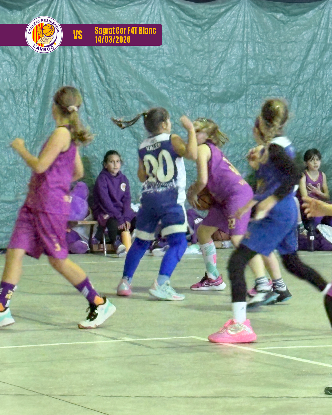 basquet_resi_arbocenc_sagrat_cor_10