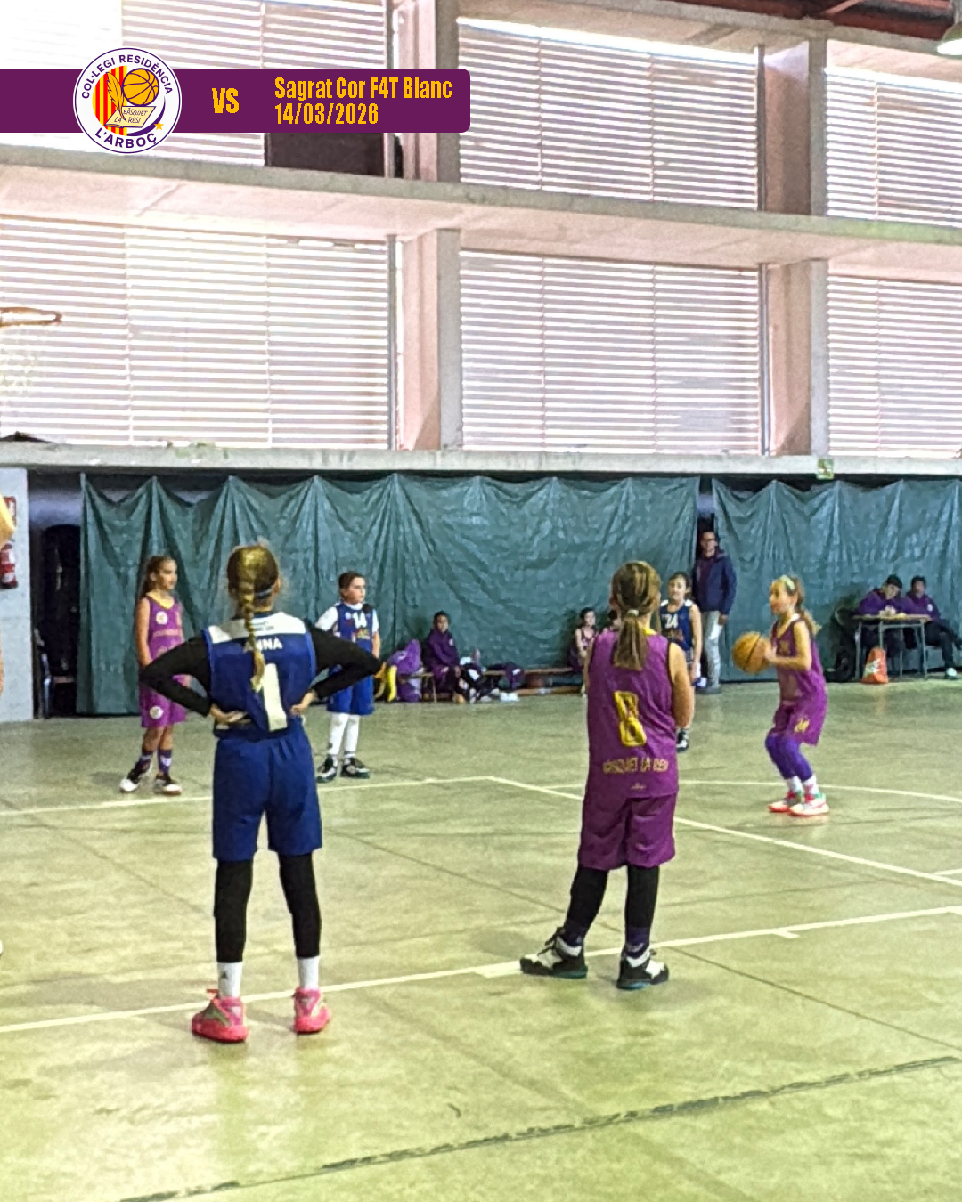 basquet_resi_arbocenc_sagrat_cor_11