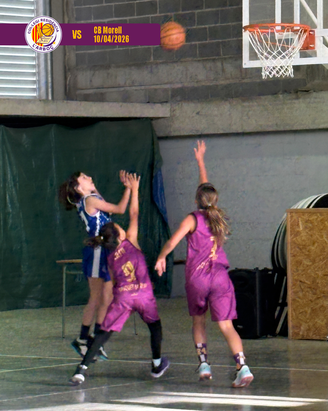 basquet_arboc_resi_cb_morell_02 basquet_arboc_resi_cb_morell_02