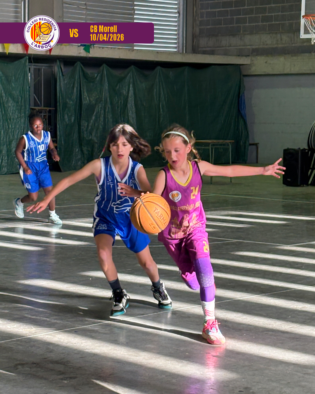 basquet_arboc_resi_cb_morell_03 basquet_arboc_resi_cb_morell_03