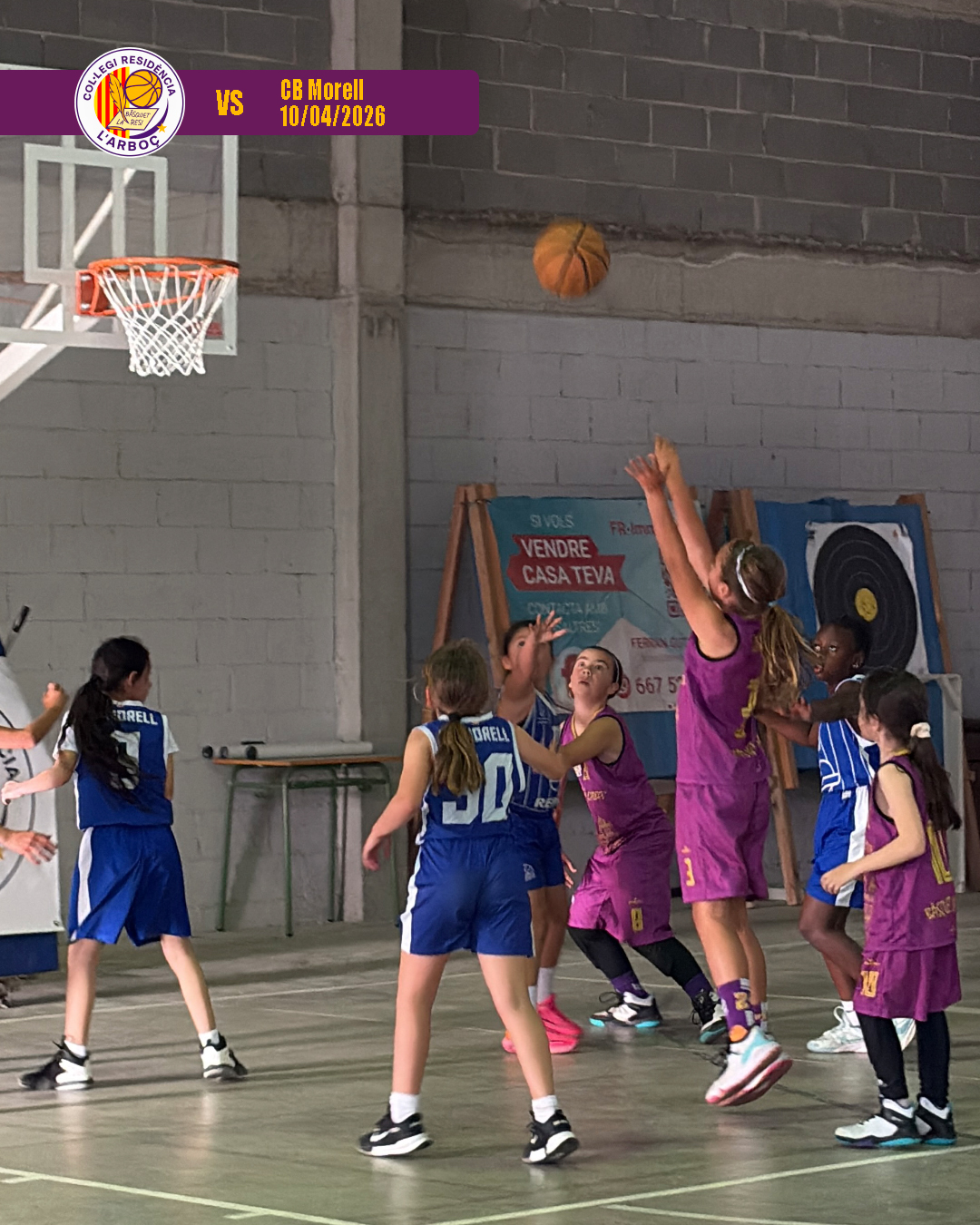 basquet_arboc_resi_cb_morell_04 basquet_arboc_resi_cb_morell_04