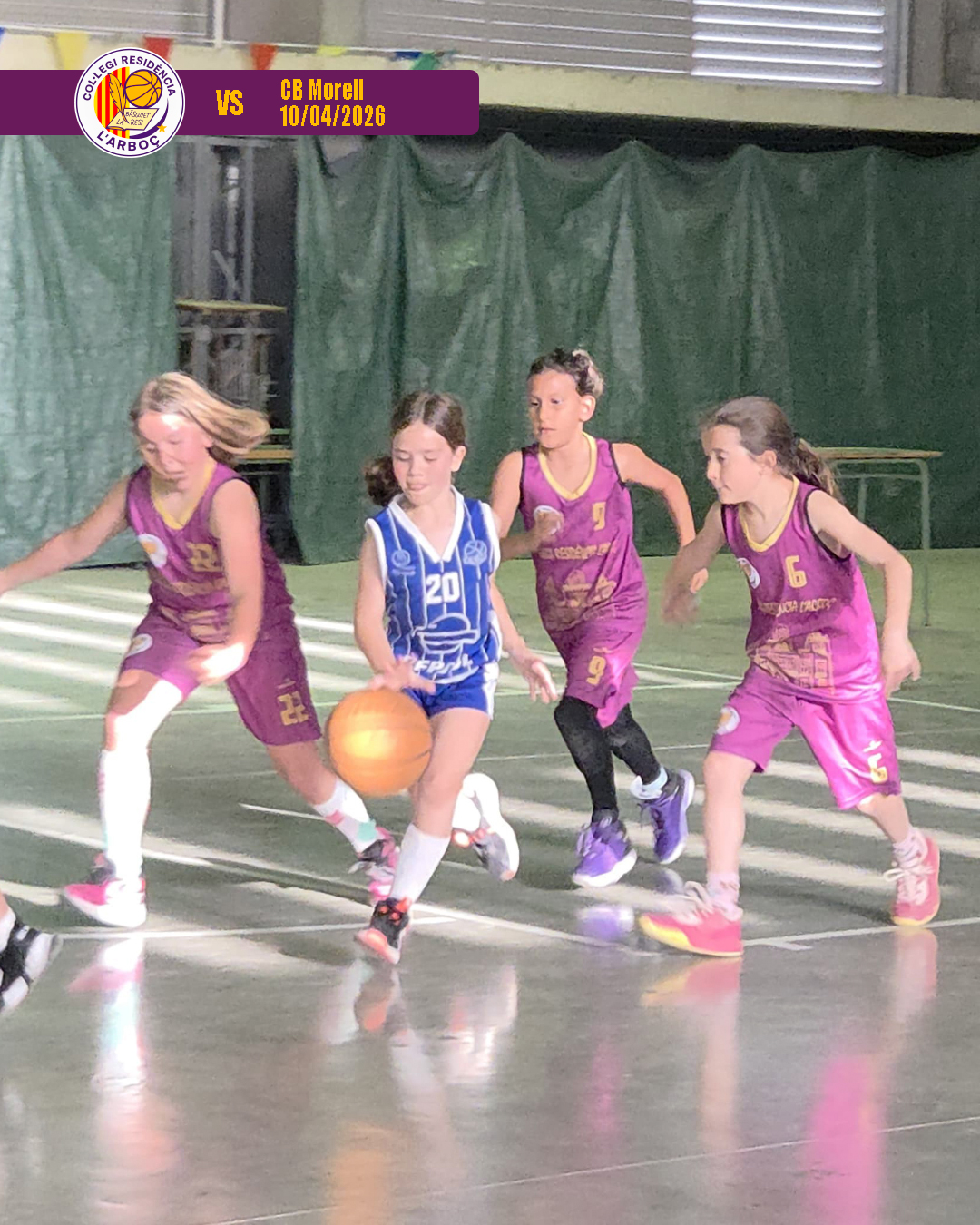 basquet_arboc_resi_cb_morell_06 basquet_arboc_resi_cb_morell_06