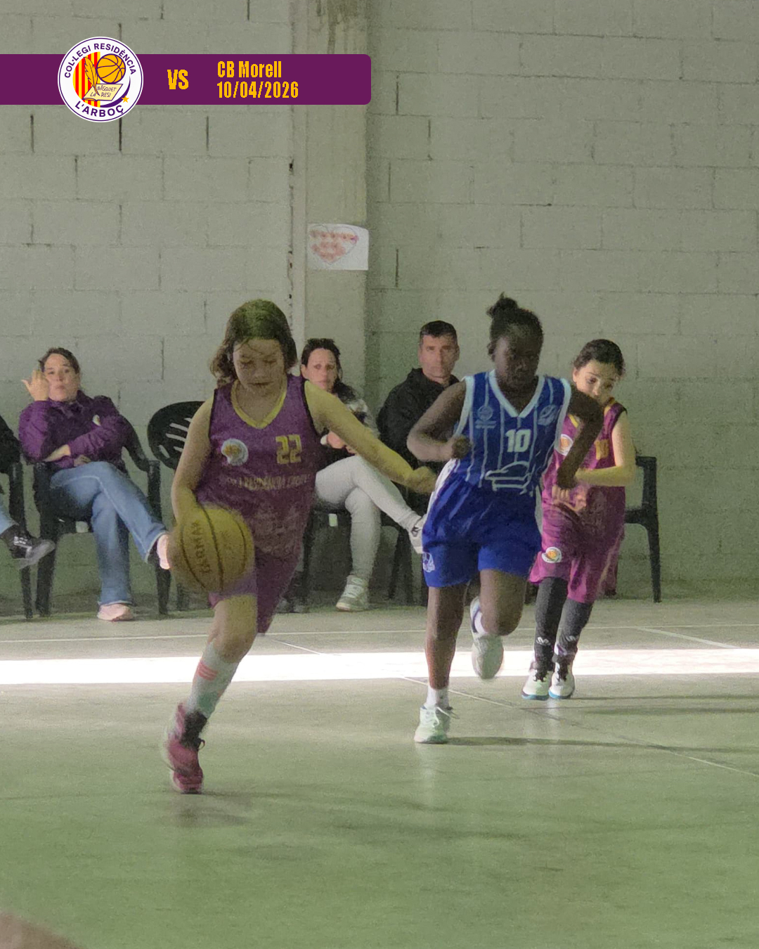 basquet_arboc_resi_cb_morell_07 basquet_arboc_resi_cb_morell_07