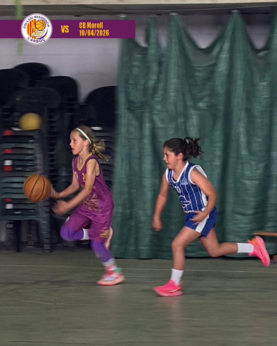 basquet_arboc_resi_cb_morell_12 basquet_arboc_resi_cb_morell_12