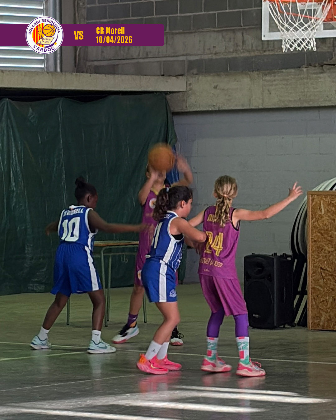 basquet_arboc_resi_cb_morell_14 basquet_arboc_resi_cb_morell_14