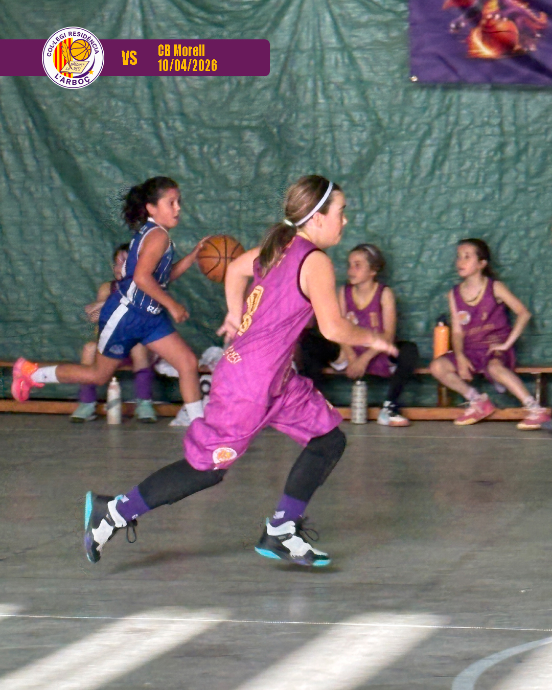 basquet_arboc_resi_cb_morell_15 basquet_arboc_resi_cb_morell_15