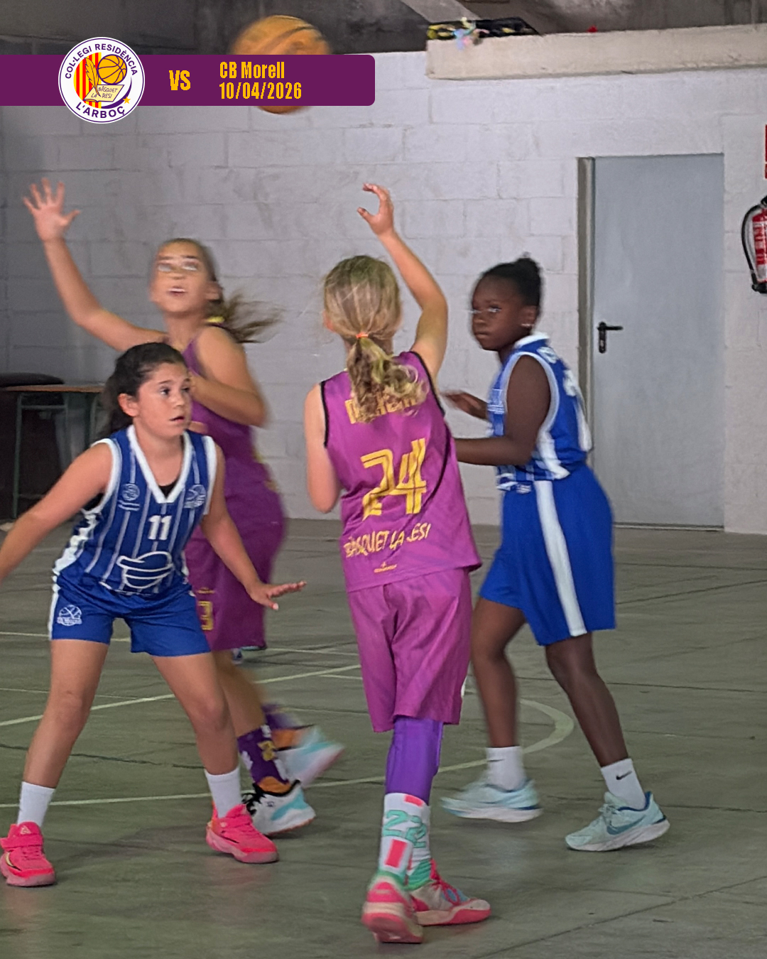 basquet_arboc_resi_cb_morell_16 basquet_arboc_resi_cb_morell_16