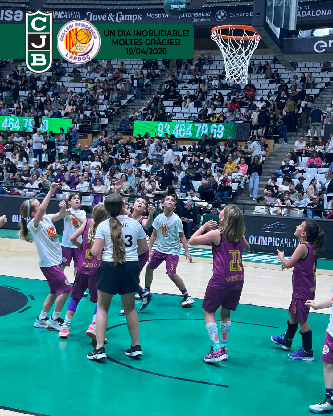 basquet_arboc_resi_penya_joventut_badalona_17