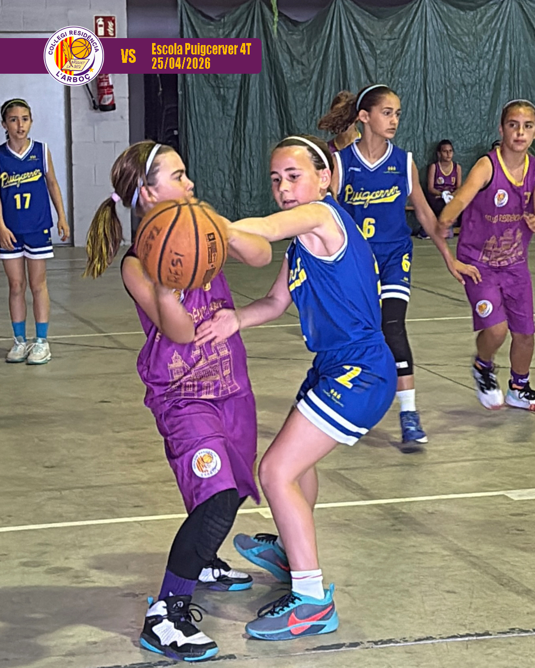 basquet_arbocenc_resi_puigcerver_05