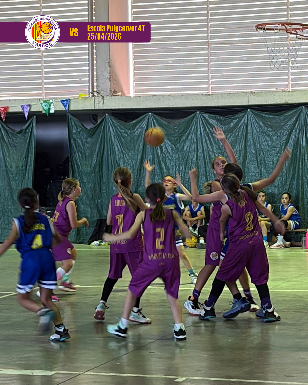 basquet_arbocenc_resi_puigcerver_07