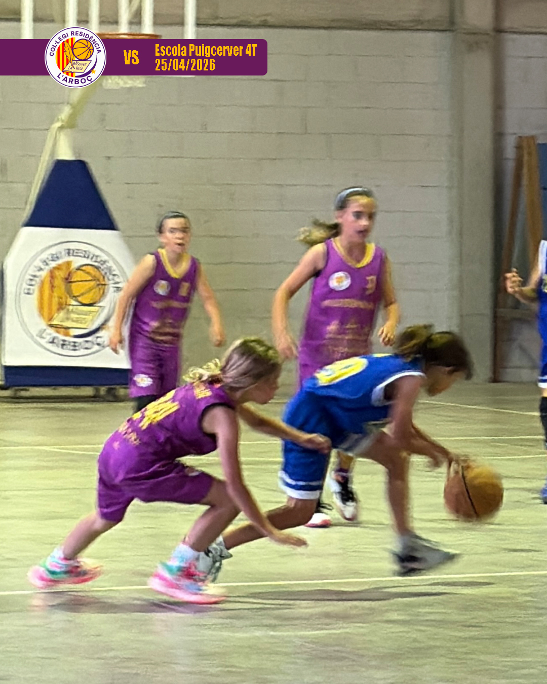 basquet_arbocenc_resi_puigcerver_10