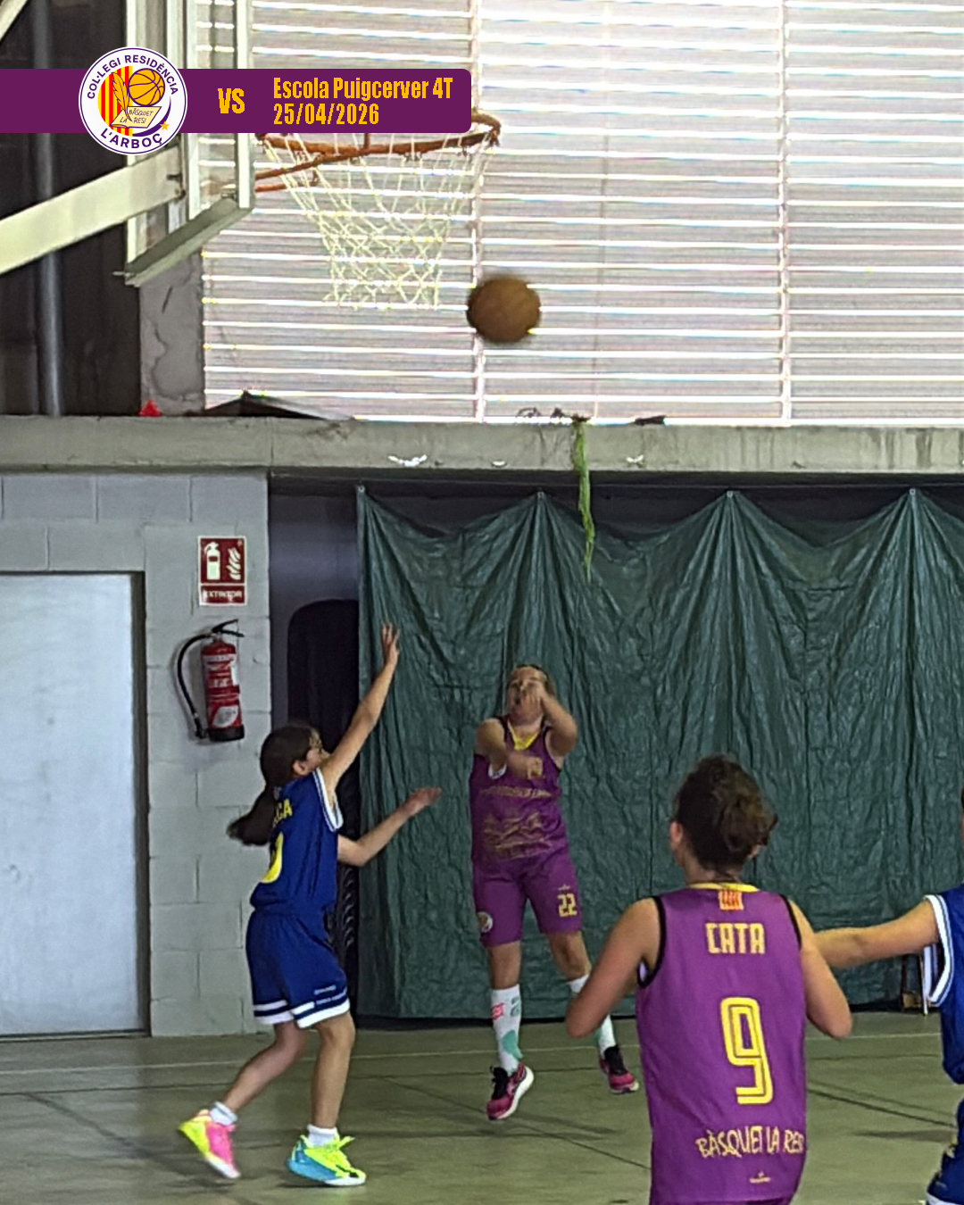 basquet_arbocenc_resi_puigcerver_19