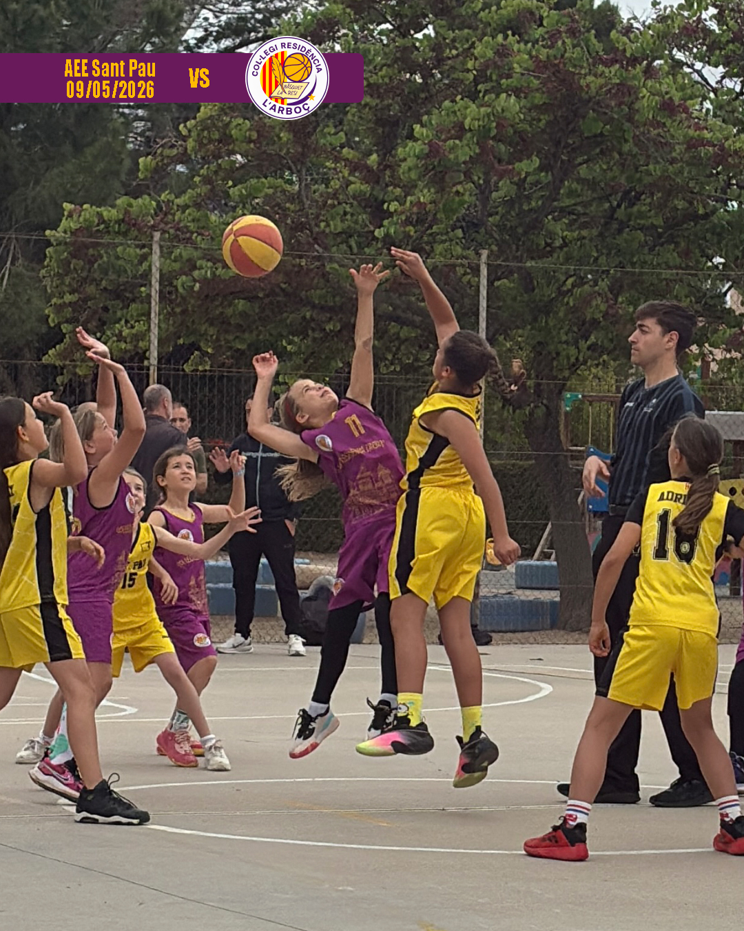 basquet_arbocenc_resi_aee_sant_pau_01 basquet_arbocenc_resi_aee_sant_pau_01