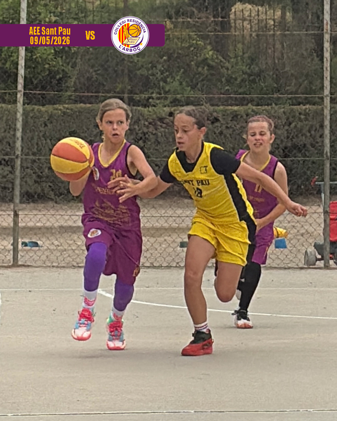 basquet_arbocenc_resi_aee_sant_pau_02 basquet_arbocenc_resi_aee_sant_pau_02