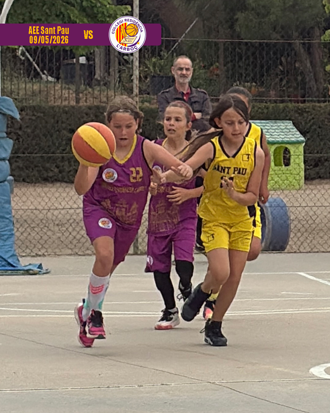 basquet_arbocenc_resi_aee_sant_pau_03 basquet_arbocenc_resi_aee_sant_pau_03