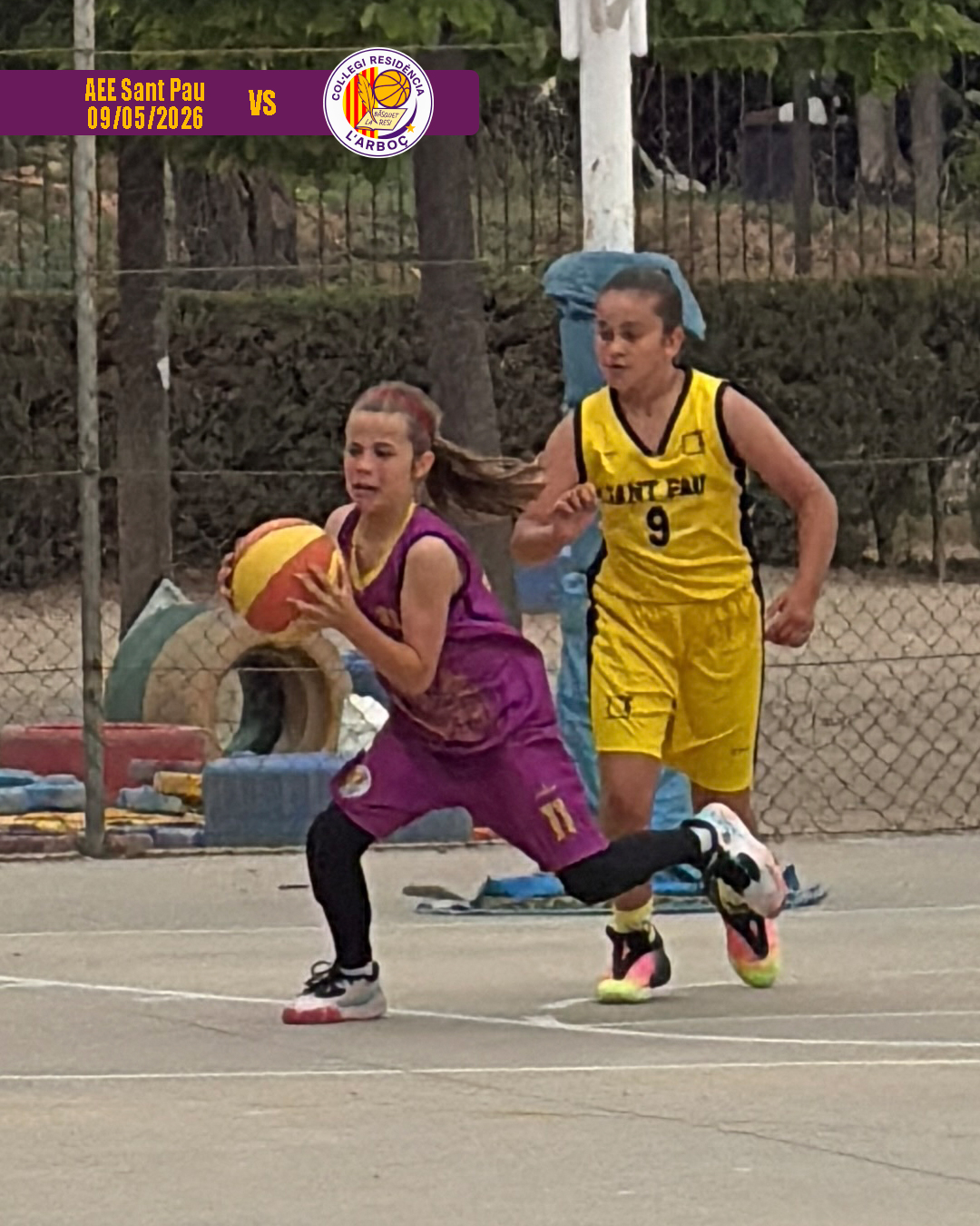 basquet_arbocenc_resi_aee_sant_pau_04 basquet_arbocenc_resi_aee_sant_pau_04