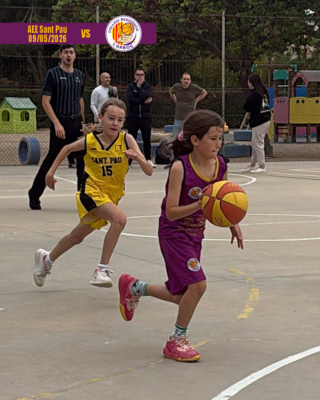basquet_arbocenc_resi_aee_sant_pau_05 basquet_arbocenc_resi_aee_sant_pau_05