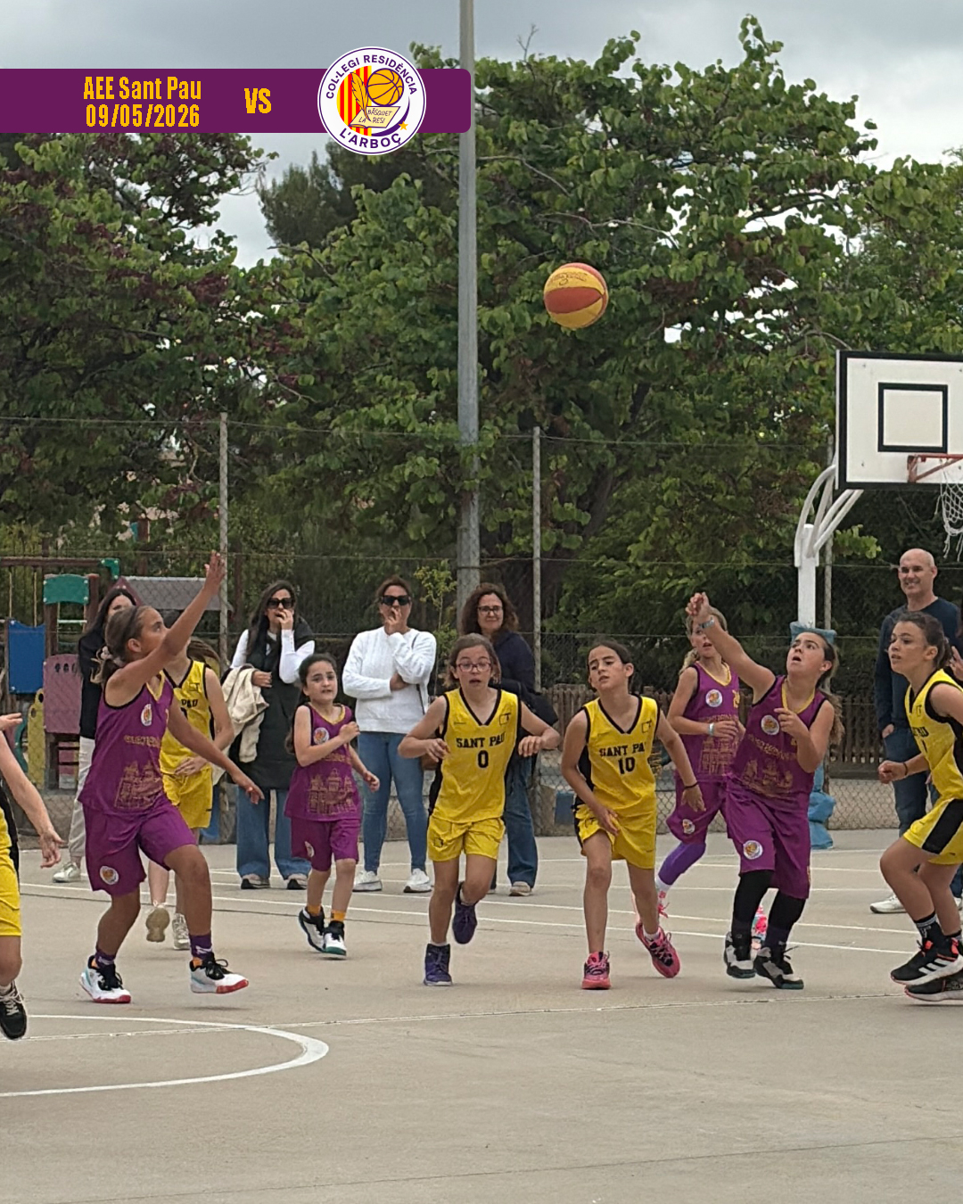 basquet_arbocenc_resi_aee_sant_pau_06 basquet_arbocenc_resi_aee_sant_pau_06