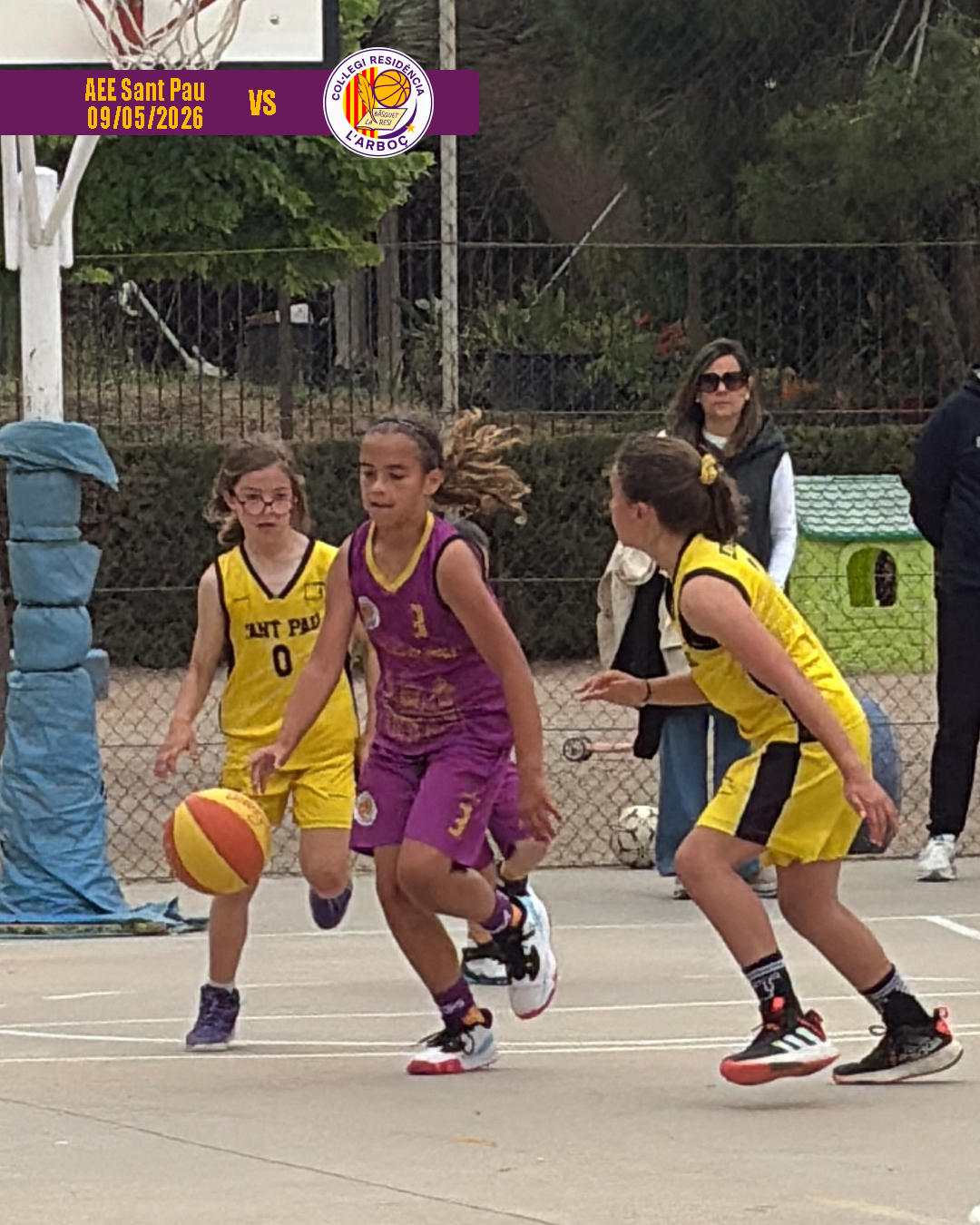 basquet_arbocenc_resi_aee_sant_pau_07 basquet_arbocenc_resi_aee_sant_pau_07