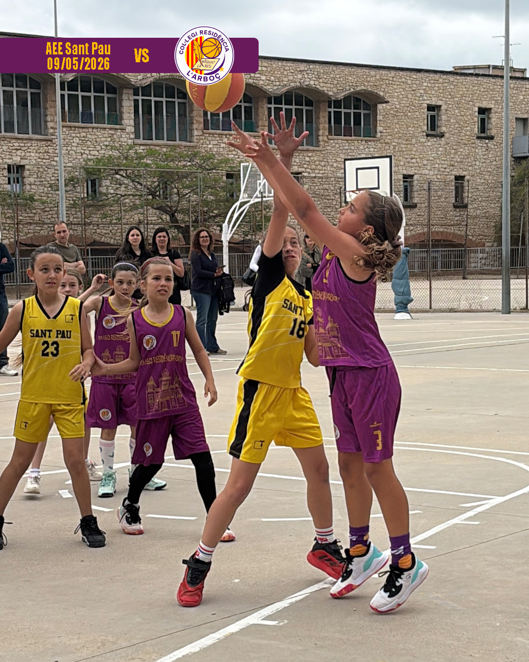 basquet_arbocenc_resi_aee_sant_pau_09 basquet_arbocenc_resi_aee_sant_pau_09