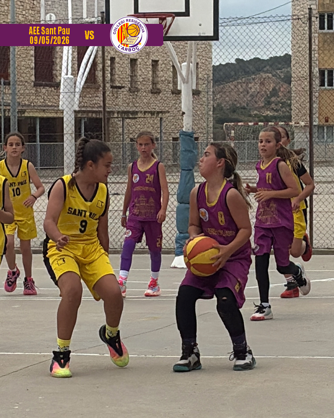 basquet_arbocenc_resi_aee_sant_pau_11 basquet_arbocenc_resi_aee_sant_pau_11