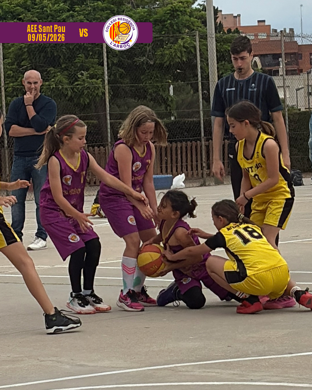 basquet_arbocenc_resi_aee_sant_pau_12 basquet_arbocenc_resi_aee_sant_pau_12